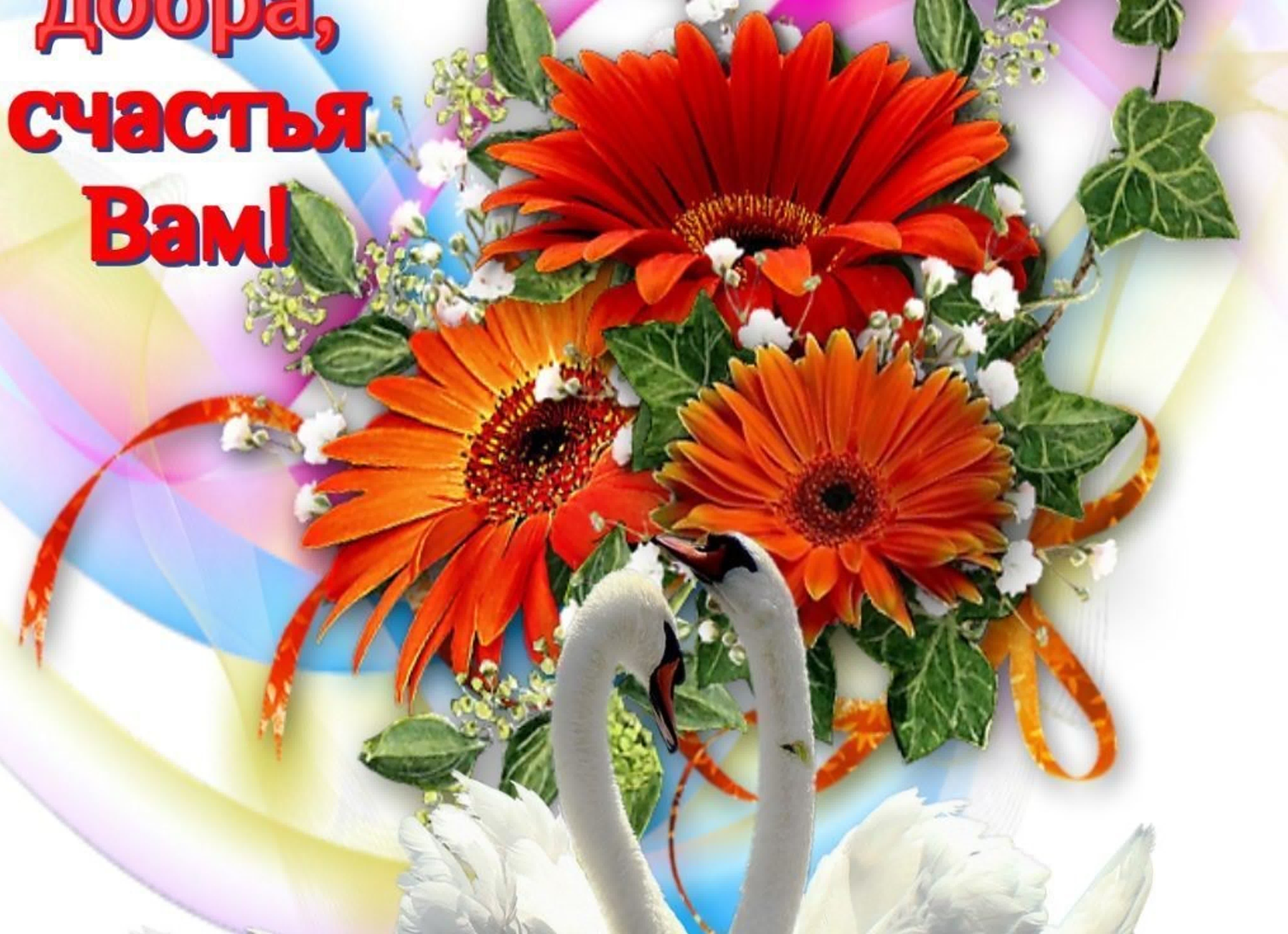 Счастье и здоровье в картинках: наслаждайтесь просмотром!