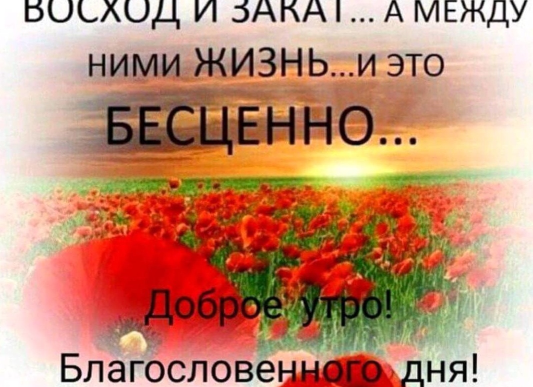 Доброе утро благословенного дея