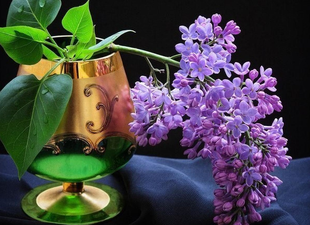 Чудесного вечерного вечера