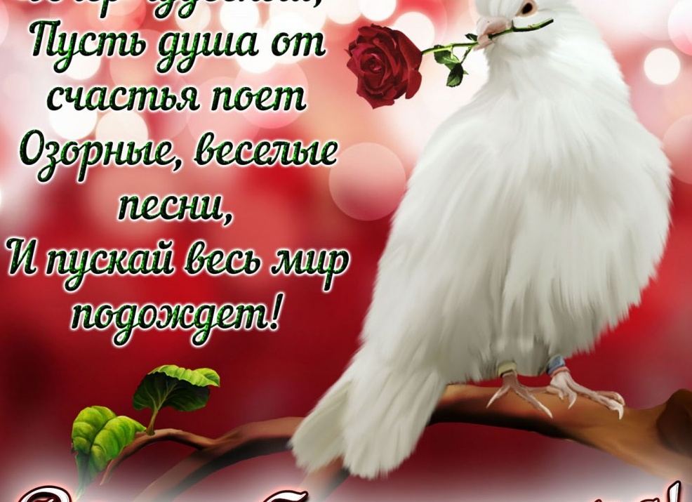 Пожелание доброго утра с голубями