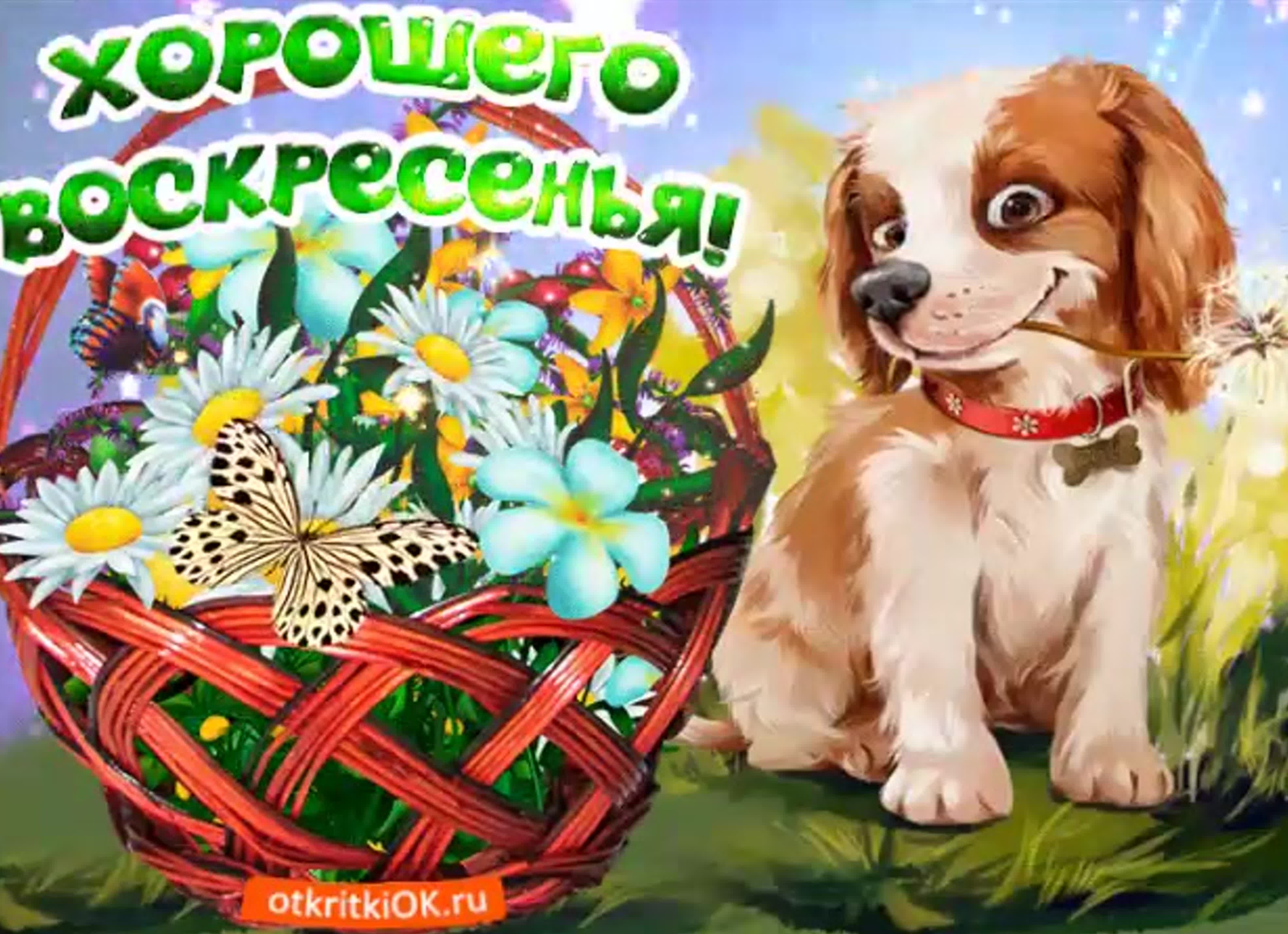 Открытка отличного воскресного дня