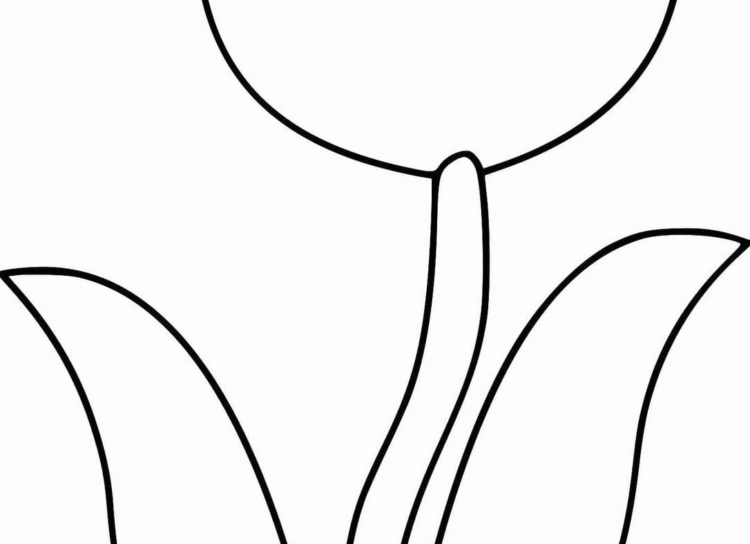 Раскраска цветы тюльпаны