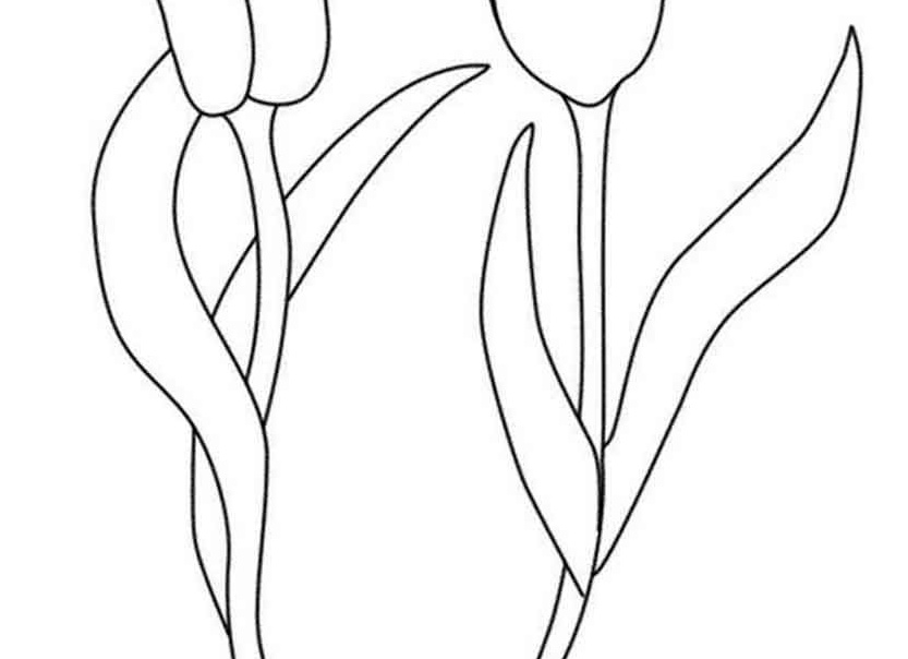 Трафарет тюльпана для вырезания