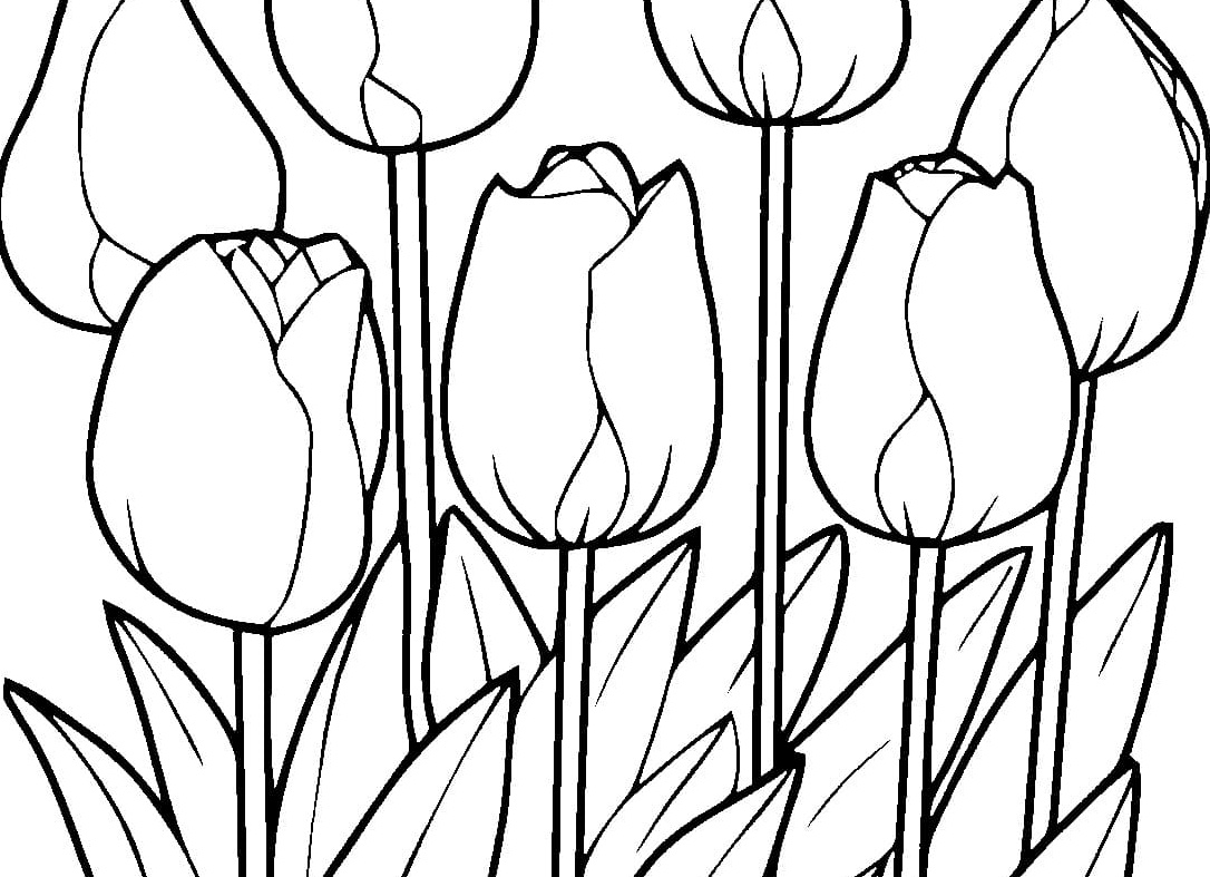 Весенние цветы раскраска